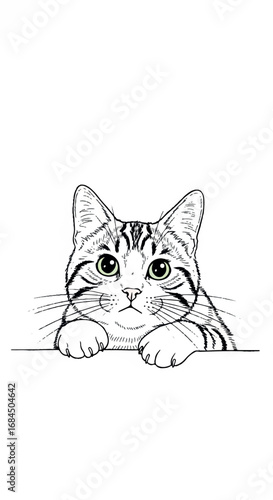 Cute Tabby Cat Peeking Over Edge Line Art.