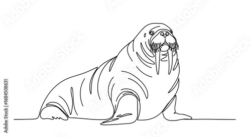 Elegant line art illustration of a majestic walrus against a white background  capturing marine