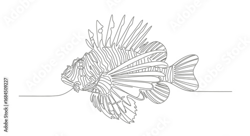 Exotic sea creature line art drawing, highlighting fluid shapes and intricate fin design