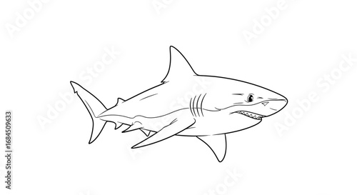 Intricate line art illustration of a powerful great white shark in motion showing its teeth