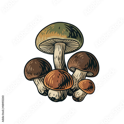 Hand Drawn Mushroom Group Illustration.