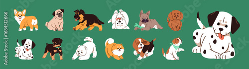Cute puppies of different breeds set. Funny pups of French bulldog, pug, corgi, dalmatian, beagle, poodle, spitz and German shepherd. Happy baby dogs have fun. Flat isolated vector illustrations