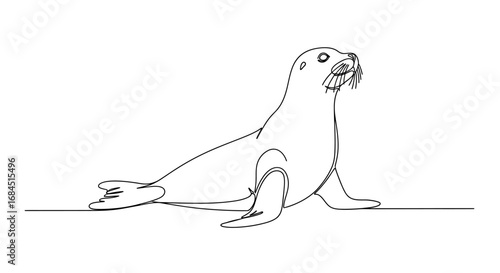 Elegant sea lion line drawing in expressive minimalist style single continuous line art