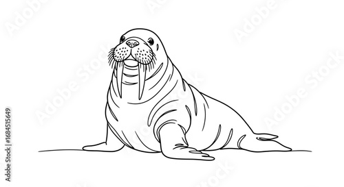 Detailed walrus outline showcases smooth line work and simple artistic expression