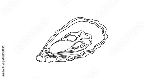 Elegant monochrome line art illustration showcasing a raw oyster shell delicacy