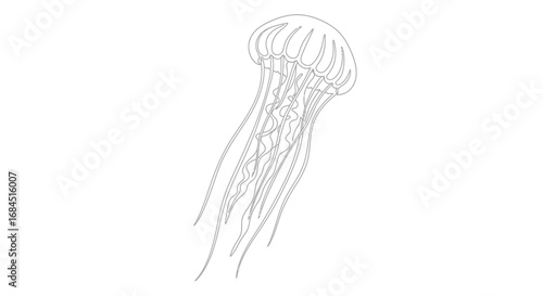 Elegant monochrome illustration of a jellyfish in a continuous line drawing style