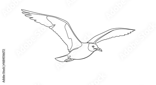 Elegant minimalist line art illustration of a seagull in soaring flight motion on a pristine white