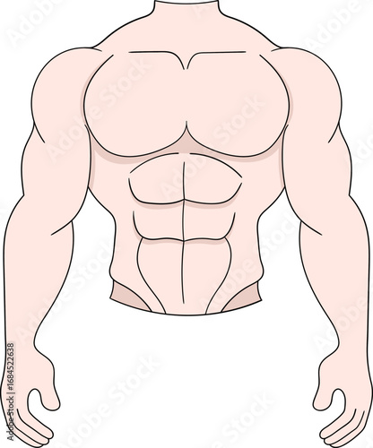 Muscular Male Torso Cartoon Illustration