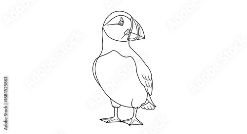 Minimalist atlantic puffin outline illustration for creative projects and coloring pages