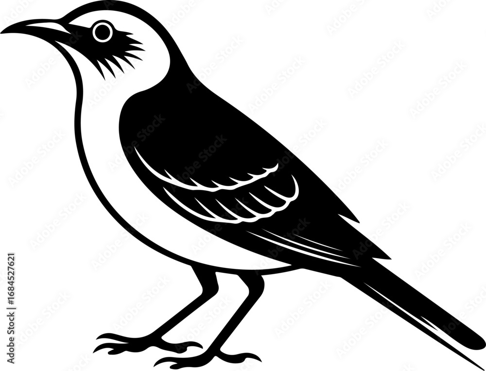 Obraz premium mockingbird silhouette vector illustration
