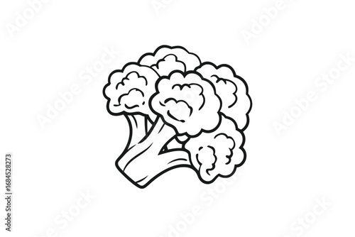 Broccoli Floret Drawing Isolated Outline Vegetable Icon On White Background