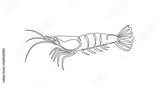 Elegant crustacean art line, showcasing a delicate shrimp illustration, representing seafood in a