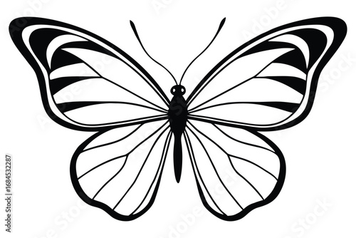 Butterfly Silhouette with Detailed Wing Pattern on White Background