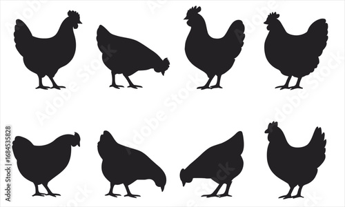 Chicken and Hen Silhouette Vector Set