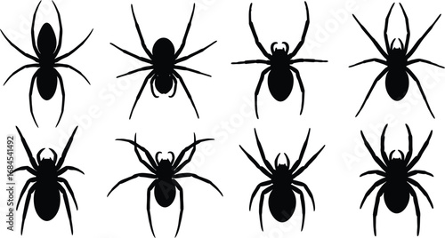 Spider silhouette vector set halloween arachnid graphic collection