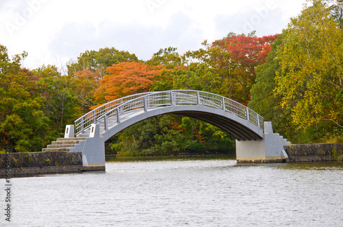 Autumn season lake view in onuma national park and Mt. Komagatake , Hakodate, Hokkaido, Japan.
