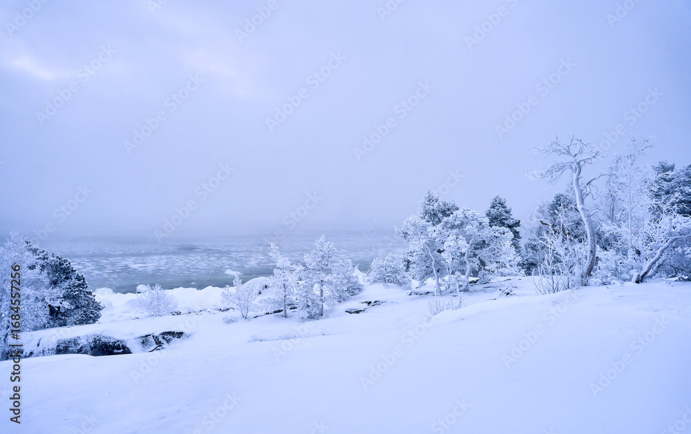 Obraz premium snow covered trees in winter
