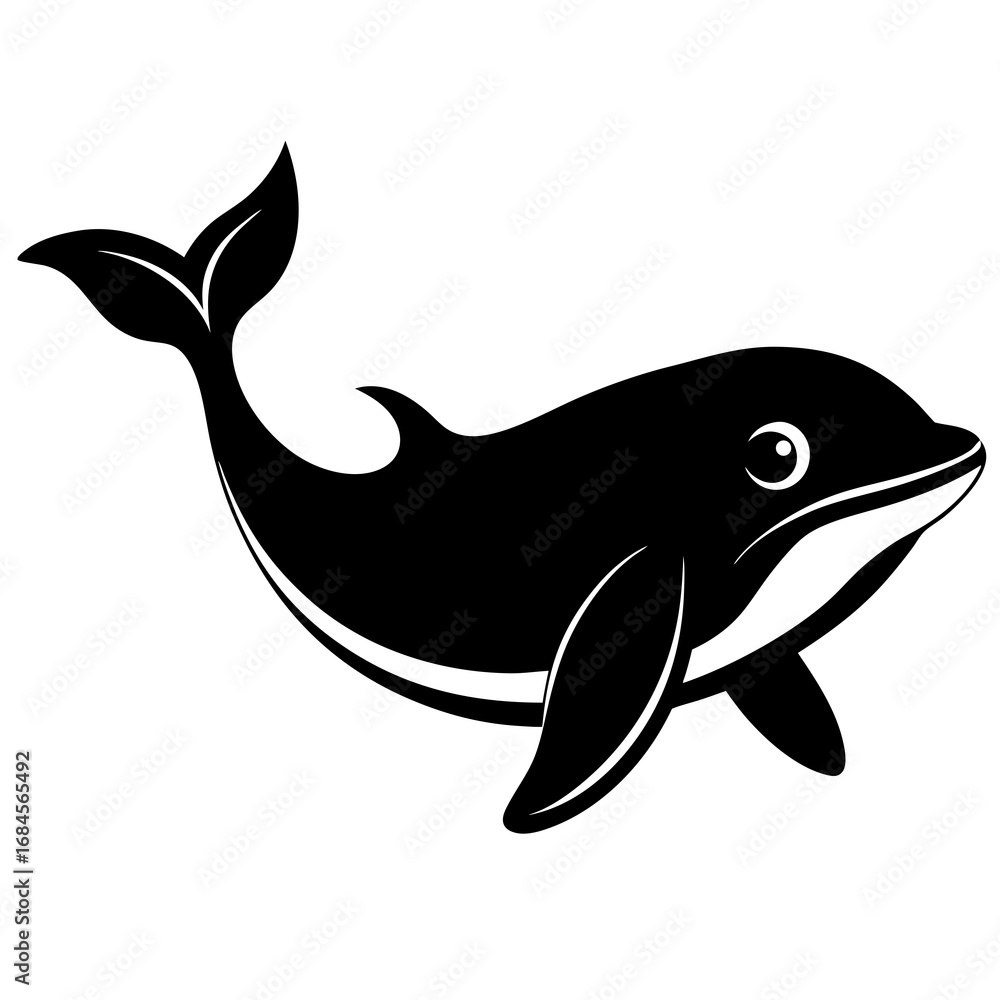 Fototapeta premium dolphin vector illustration