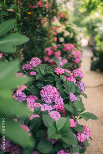 Wallpaper Mural Elegant Floral Shopfront with Lush Greenery and Blooming Flowers Torontodigital.ca