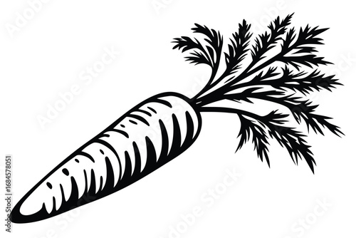 Monochrome Carrot with Bushy Leaves Isolated on a White Background Art