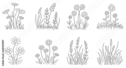 various floral sketches showing different plant types and arrangements