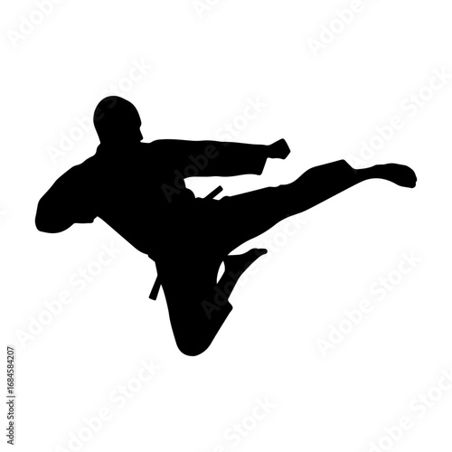 Silhouette of a man performing a high kick in mid-air