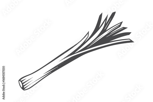 Single Leek Vegetable Vector, Fresh Ingredient Herb 