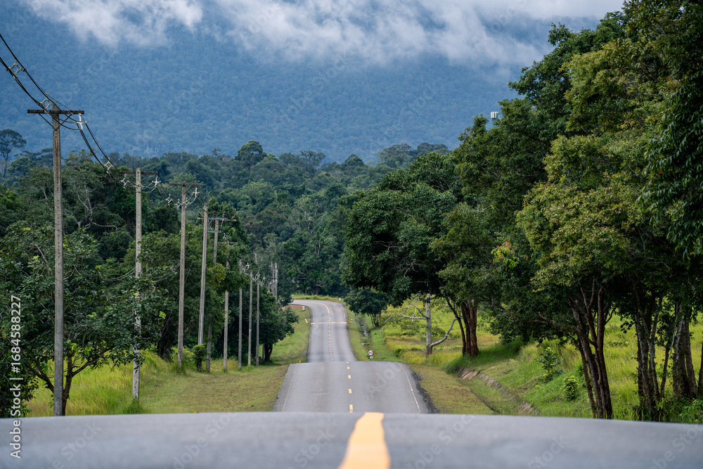 Fototapeta premium A winding highway of asphalt cuts through the mountain landscape, where nature thrives, trees guard the road, forests embrace the horizon, and travel feels alive.