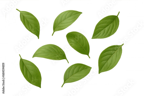Fresh, vibrant green leaves falling gracefully against a transparent background, adding a touch of nature and vitality
