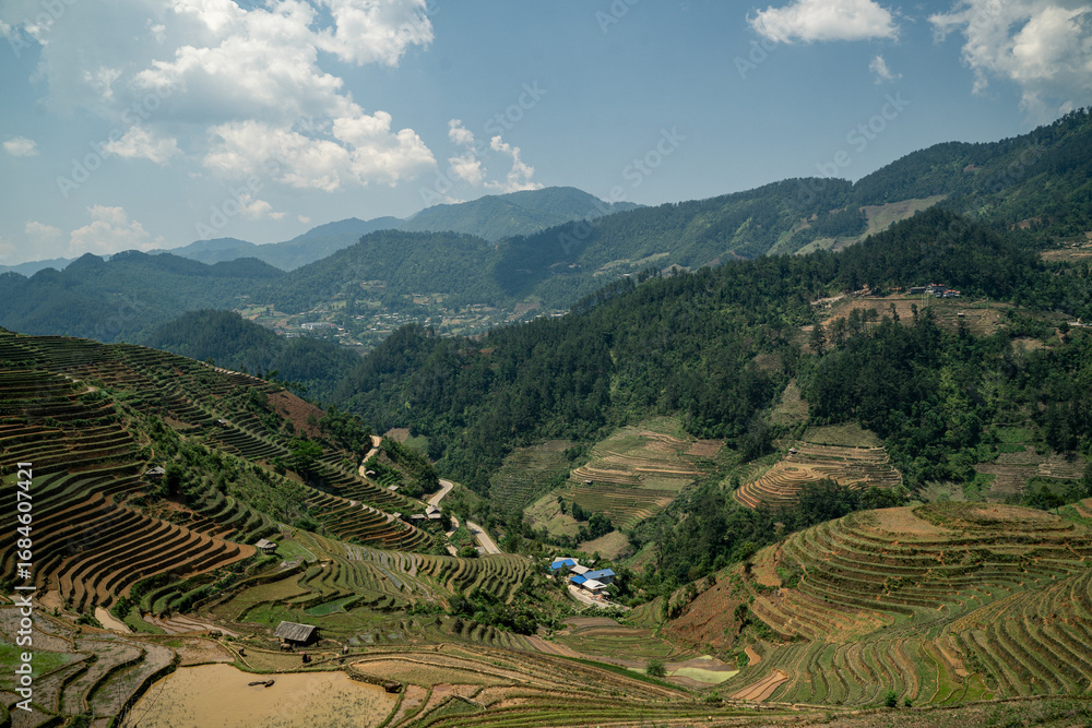 Fototapeta premium Terrace fields blanket the green mountains of Vietnam, where rice agriculture thrives-an iconic Asian landscape that draws nature and travel lovers alike.