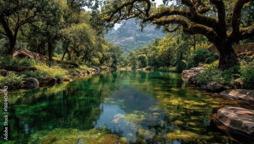 Tranquil river flowing through lush forest (1)