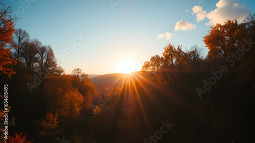 Extra breites Panorama von einem malerischen Wald im Herbst bei goldenem Sonnenschein