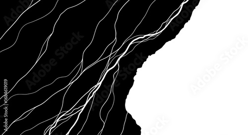 abstract monochrome veins natures elegant fractured design, isolated on transparent background