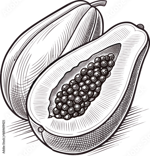 Papaya line art design