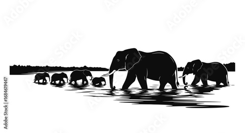 african elephant family silhouette, walking in water, wildlife, nature, herd