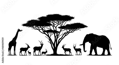 african safari animals silhouette elephant, giraffe, antelope, acacia tree