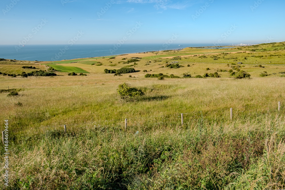 Fototapeta premium Cap Blanc-Nez, Escalles, Pas-de-Calais, Hauts-de-France, France, July 29th, 2025, A breathtaking view showcasing vibrant green fields seamlessly meeting the vast ocean under a clear blue sky
