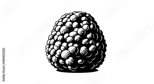 black and white illustration of a blackberry, detailed drawing of a single berry, botanical illustration of a round fruit