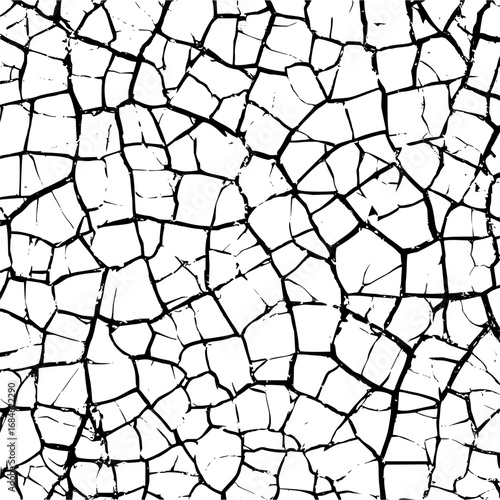 Detailed cracked surface pattern with black lines on white background creating a complex network design