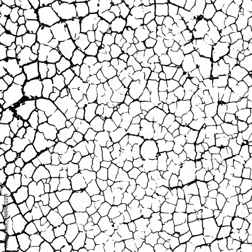 Detailed black and white crack pattern showing a complex network of fractures and fissures across surface