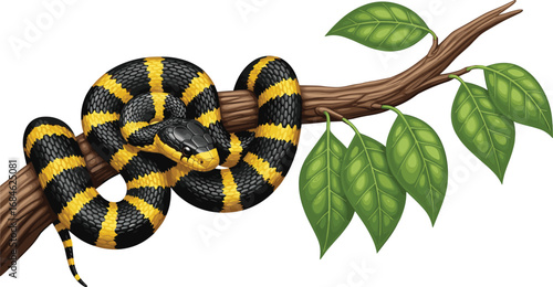 Cartoon snake with black and yellow bands coiled on tree branch, rainforest reptile vector with leaves, wildlife nature illustration