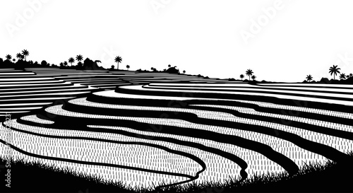 dramatic silhouette of rice terraces and palm trees
