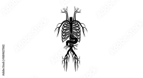 human anatomy, skeleton, vessels, organs, intestines, ribcage, medical, dark art, gothic, mysterious