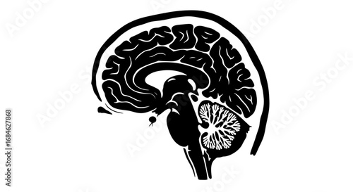 human brain anatomy detailed side view illustration, neurology, neuroscience, mind, psychology, cognition, mental health