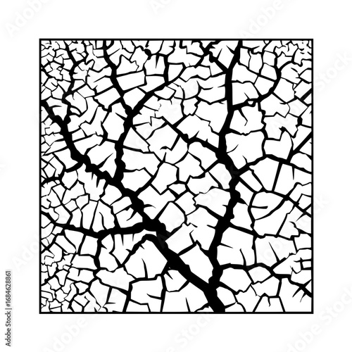 Black and white abstract cracked pattern resembling dry earth or broken glass composition design art