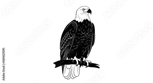 majestic bald eagle perched on branch, black and white illustration, wildlife, bird, nature