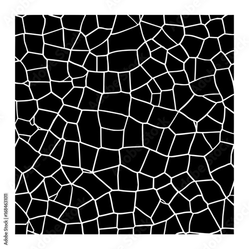 Abstract black background with irregular white lines forming a cellular like structure pattern design art