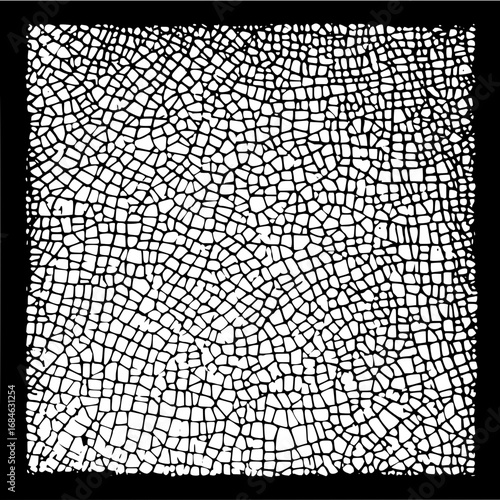 Abstract black and white crackle pattern resembling dried mud or cracked earth texture with sharp lines and shapes
