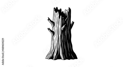 old tree stump, black and white illustration, nature, detailed, decay, aged, vintage style