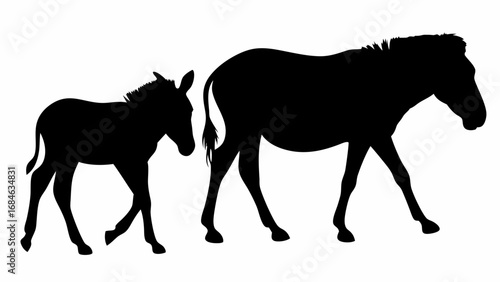 Silhouette of a mother donkey and her foal walking together on a white background in a simple illustration | editable eps vectors